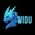Desarrollador web profesional en Barcelona